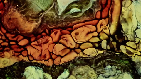 Abstract Ink Paint Diffusion Paradox Illusion Shapes Stock Footage 308853621