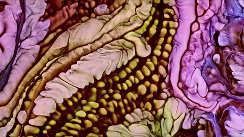 Abstract Ink Paint Diffusion Paradox Illusion Shapes Stock Footage 308854642