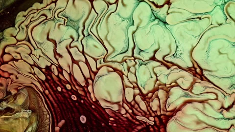 Abstract Ink Paint Diffusion Paradox Illusion Shapes Stock Footage 308860862