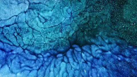 Abstract Ink Paint Diffusion Paradox Illusion Shapes Stock Footage 308865793