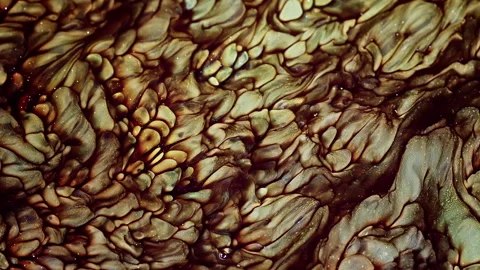 Abstract Ink Paint Diffusion Paradox Illusion Shapes Stock Footage 308866774