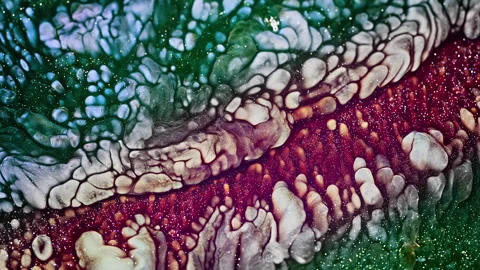 Abstract Ink Paint Diffusion Paradox Illusion Shapes Video stock 308868408