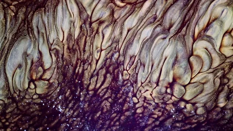 Abstract Ink Paint Diffusion Paradox Illusion Shapes Video stock 308869457