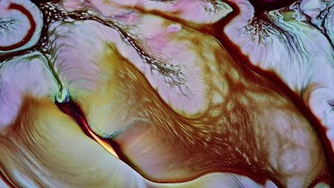 Abstract Ink Paint Diffusion Paradox Illusion Shapes Video stock 308879246