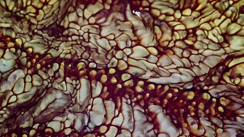 Abstract Ink Paint Diffusion Paradox Illusion Shapes Stock Footage 308880326