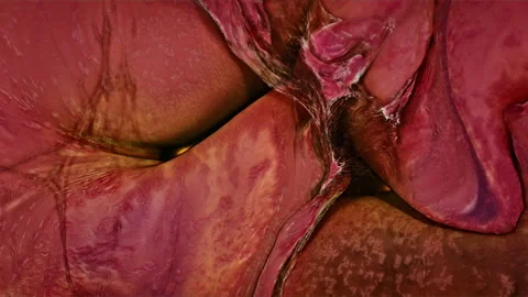 Abstract Ink Paint Diffusion Paradox Illusion Shapes Stock Footage 308975654