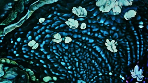 Abstract Ink Paint Diffusion Paradox Illusion Shapes Stock Footage 309005143