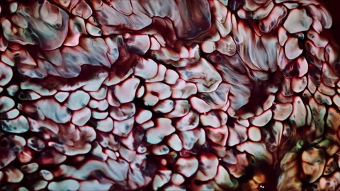 Abstract Ink Paint Diffusion Paradox Illusion Shapes Stock Footage 309009658