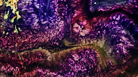 Abstract Ink Paint Diffusion Paradox Illusion Shapes Video stock 309012666