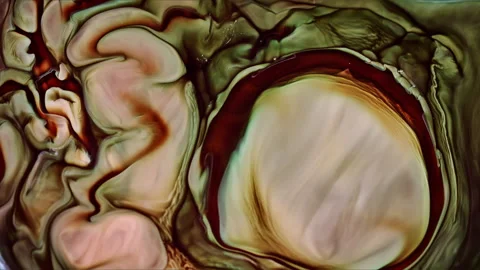 Abstract Ink Paint Diffusion Paradox Illusion Shapes Stock Footage 309014365