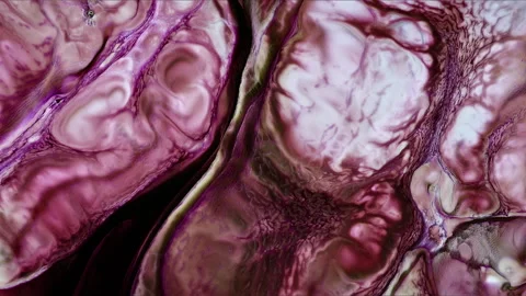 Abstract Ink Paint Diffusion Paradox Illusion Shapes Stock Footage 309015779