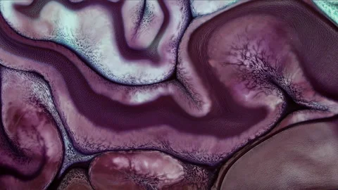 Abstract Ink Paint Diffusion Paradox Illusion Shapes Stock Footage 309017979