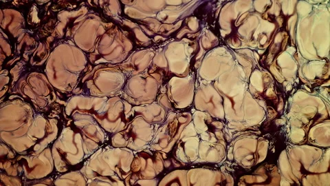 Abstract Ink Paint Diffusion Paradox Illusion Shapes 스톡 동영상 309024503