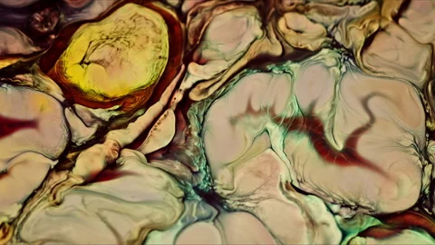 Abstract Ink Paint Diffusion Paradox Illusion Shapes Stock Footage 309029401