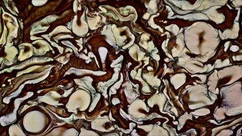 Abstract Ink Paint Diffusion Paradox Illusion Shapes Stock Footage 309042228