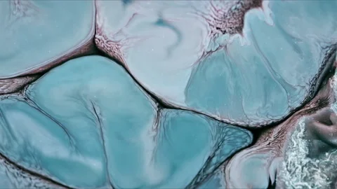 Abstract Ink Paint Diffusion Paradox Illusion Shapes Vídeo Stock 309059910