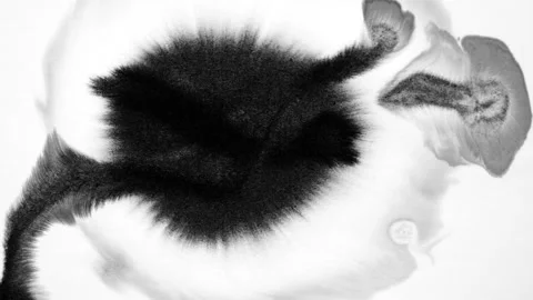 Abstract ink patterns on wet paper, black and white contrast background. Stock Footage 331784613