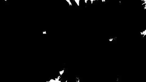 Abstract ink splatter transition in black and white seamless loop. Stock Footage 172427295