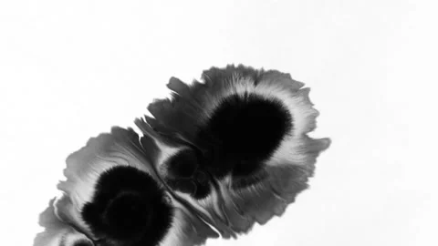 Abstract ink splatter transition in black and white seamless loop Stock Footage 219993772