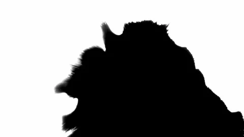 Abstract ink splatter transition in black and white seamless loop. Turbulent Stock Footage 266929078