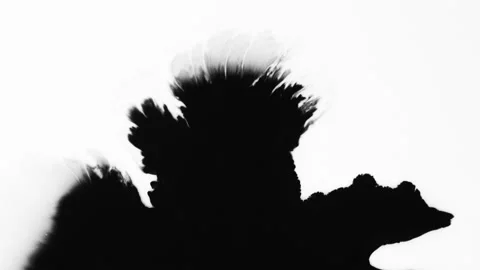 Abstract ink splatters, droplets spreading. Ink matte, splash transition reveals Stock Footage 155653358