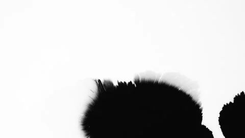 Abstract ink splatters, droplets spreading. Ink matte, splash transition reveals Video stock 155654686