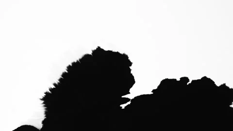Abstract ink splatters, droplets spreading. Ink matte, splash transition reveals Video stock 155655062