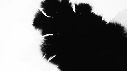 Abstract ink splatters, droplets spreading. Ink matte, splash transition reveals Stock Footage 155655815
