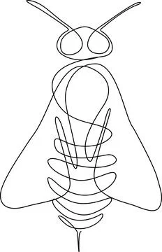 Abstract insect drawing Vector Stockillustratie