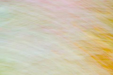 Abstract intentional camera movement (ICM) of small trees and flowers Stock Photos