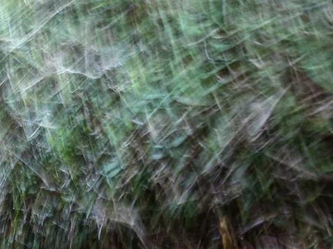 Abstract intentional camera movement ICM photography of green foliage Stock Photos