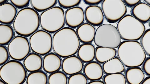Abstract Interconnected White Cells and Bubbles with Dark Outlines, Resembling  Stock Footage 300467800