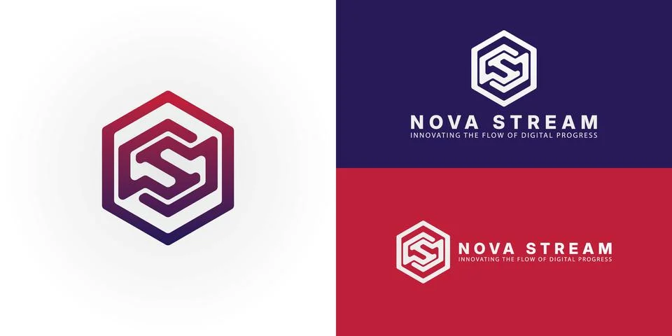Abstract interlocking forms that suggest the initials NS within a hexagon Stock Illustration