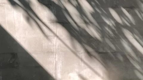 Abstract Interplay of Light and Shadow on Textured Concrete Surface Stock Footage 346017293