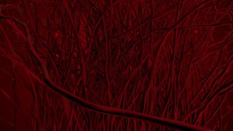 Abstract intro. Growing in 3D space. Stock Footage 84772349