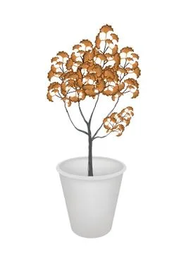 An Abstract Isometric of Trees in Flower Pot Stock Illustration