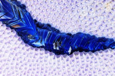 Abstract of jackfruit texture for background used Stock Photos