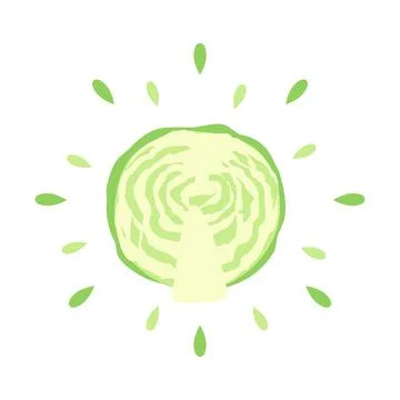 Abstract juicy cabbage icon with splash on white background - Vector Ilustración de archivo