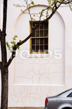 Abstract Juxtaposed Tree, window car building Stock Photos