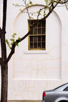 Abstract Juxtaposed Tree, window car building Foto stock