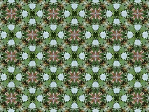 Abstract Kaleidoscope Floral Pattern Stock Illustration