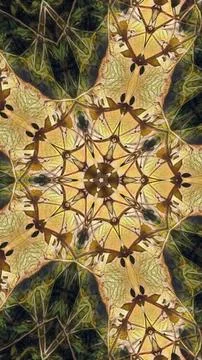 Abstract Kaleidoscope Mandala Pattern Digital Art with Golden Geometric Shapes Stockillustratie