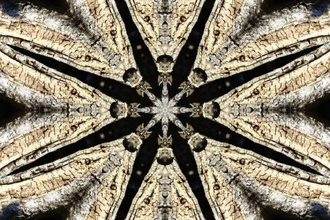 Abstract kaleidoscope pattern creating natural wood mosaic texture Stock Photos