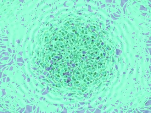 Abstract kaleidoscope seamless pattern background with soft pastel geometri.. Stock Footage 335606723