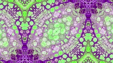 Abstract Kaleidoscope Sequence Patterns. 4K Animation Background. Video stock 155949076