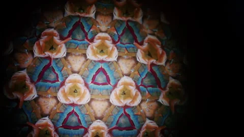 Abstract kaleidoscope visual formed by mirrored organic textures resembling Stock Footage 337234514
