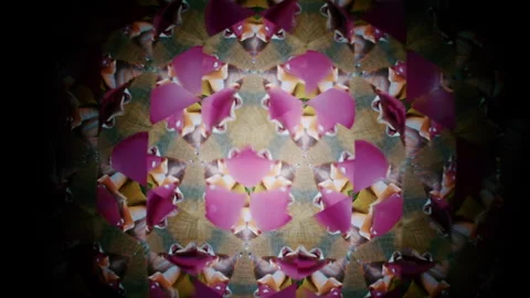 Abstract kaleidoscope visual formed by mirrored organic textures resembling Stock Footage 337237581