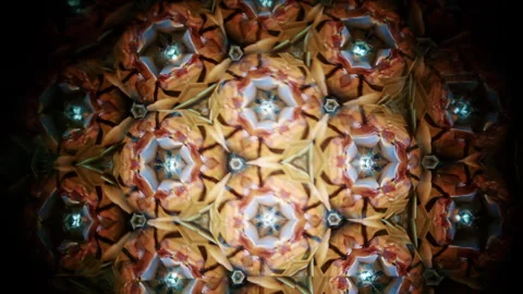 Abstract kaleidoscope visual formed by mirrored organic textures resembling Stock Footage 337238576