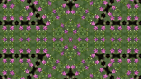 An abstract kaleidoscopic pattern centered around a purple flower, set agai.. Stock Footage 305217598