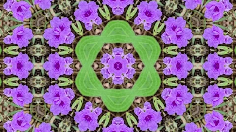 An abstract kaleidoscopic pattern with a symmetrical design, showcasing a m.. Stock Footage 305216807